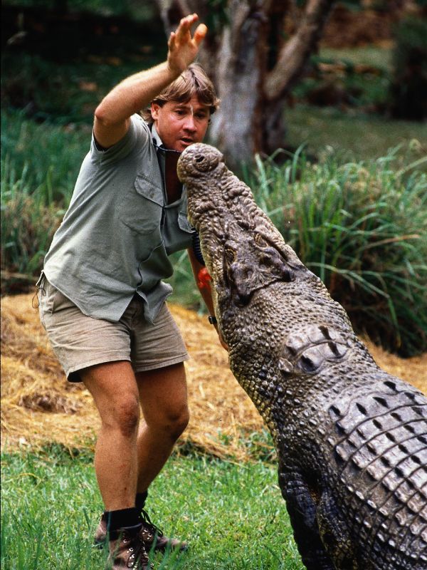 Crocodile Hunter: Steve's Most ...